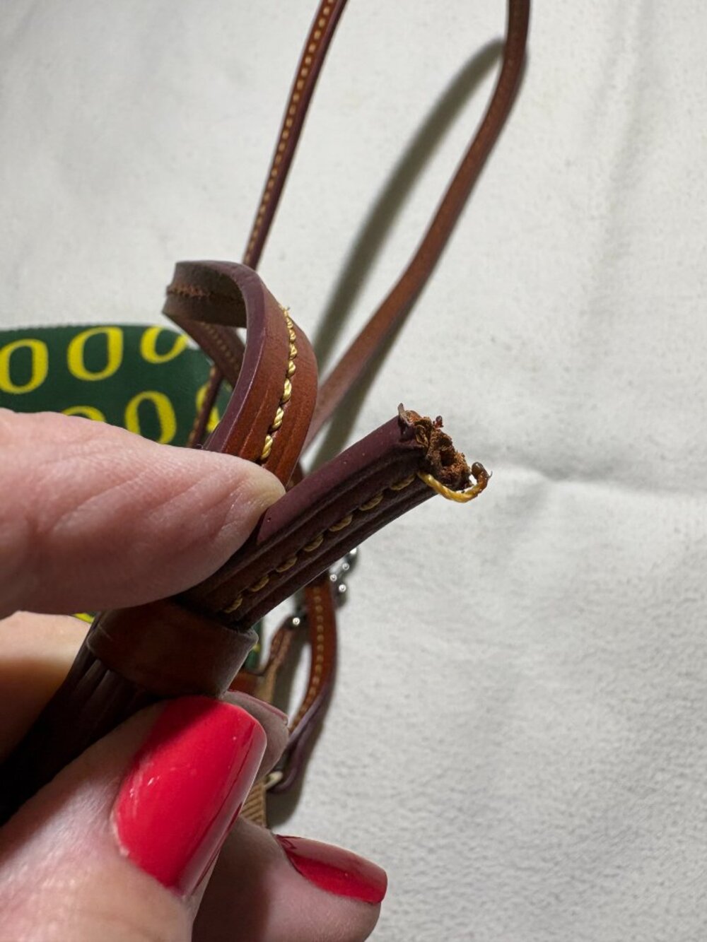 Dooney & Bourke Crossbody: University of Oregon - Go Ducks! - Picture 3 of 9